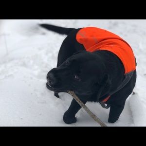 Meet your Posher, Kristin